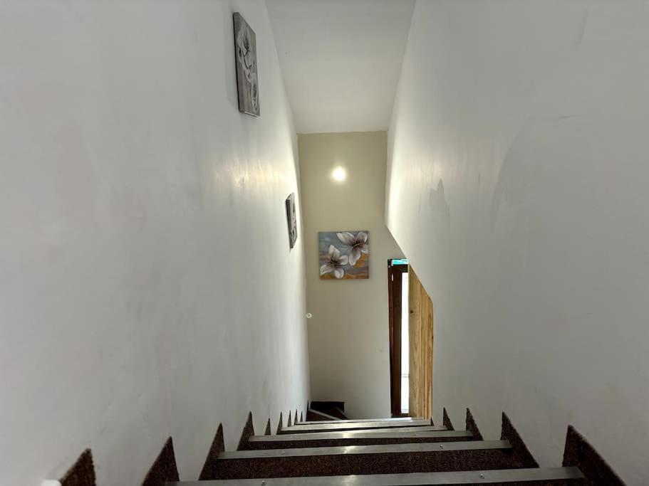 Apartament Luxury Duplex In Sofia Center Zewnętrze zdjęcie